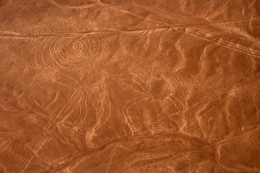 Nazca-lijnen in Peru. De aap.